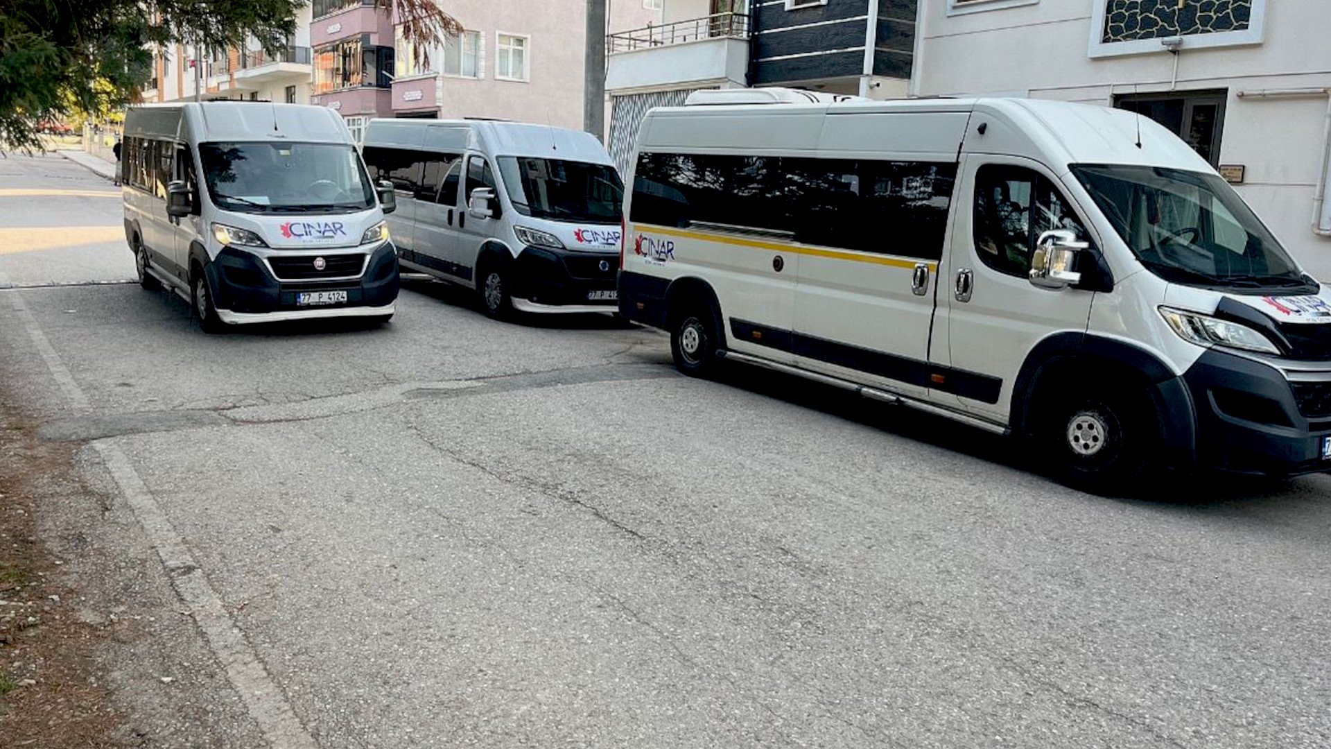 Düğün, Sünnet Cemiyet